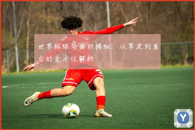 世界杯球场面积揭秘:从草皮到看台的全方位解析