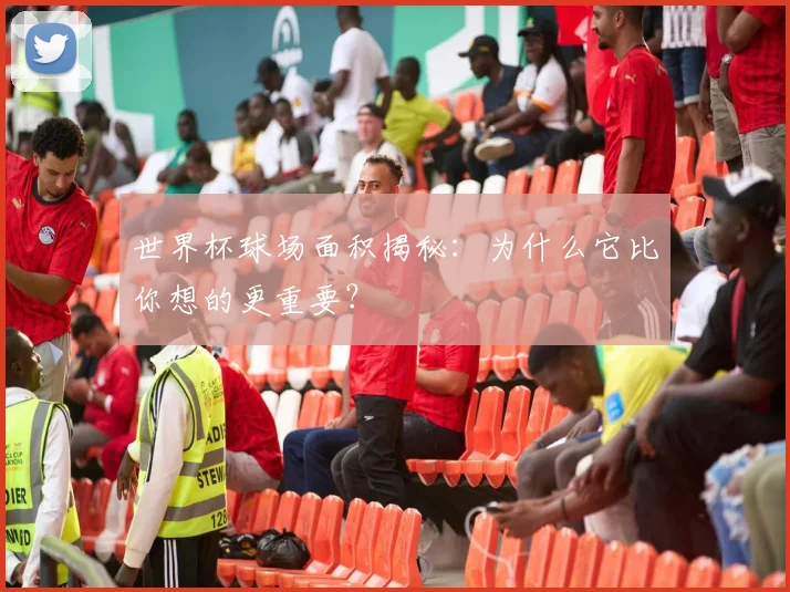 世界杯球场面积揭秘：为什么它比你想的更重要？