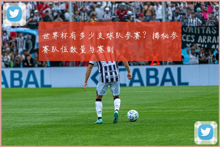 世界杯有多少支球队参赛?揭秘参赛队伍数量与赛制