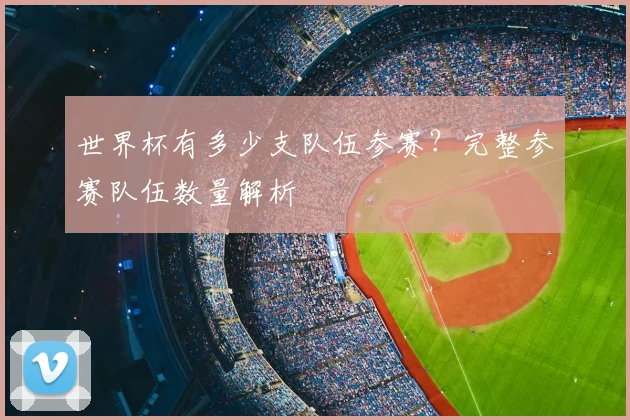 世界杯有多少支队伍参赛?完整参赛队伍数量解析