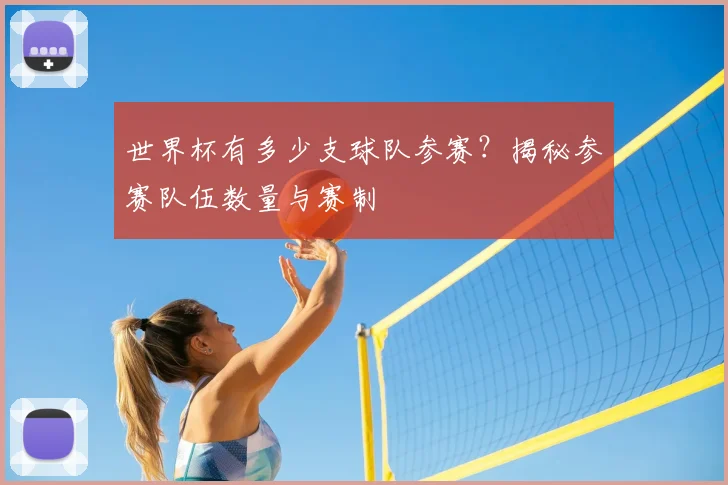 世界杯有多少支球队参赛?揭秘参赛队伍数量与赛制