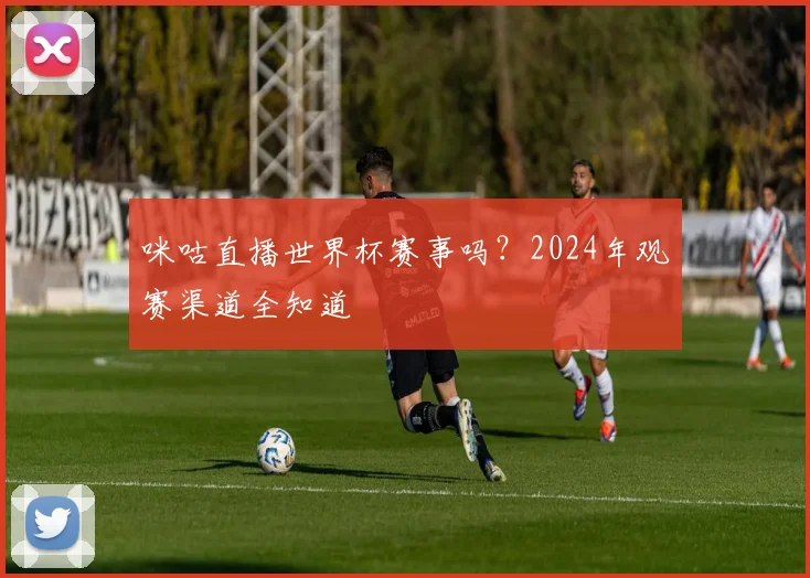 咪咕直播世界杯赛事吗？2024年观赛渠道全知道
